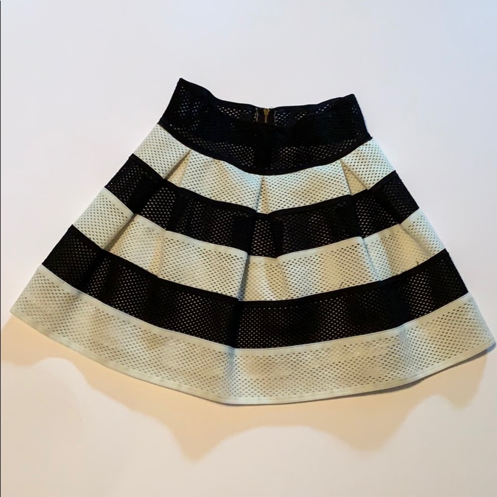 Skater Skirt